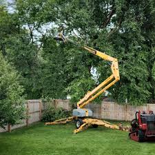 Best Commercial Tree Services  in Camano, WA